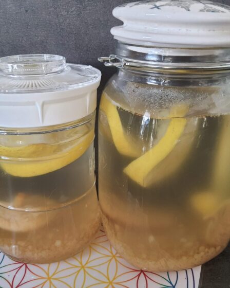 Blog de coach - kéfir de fruit