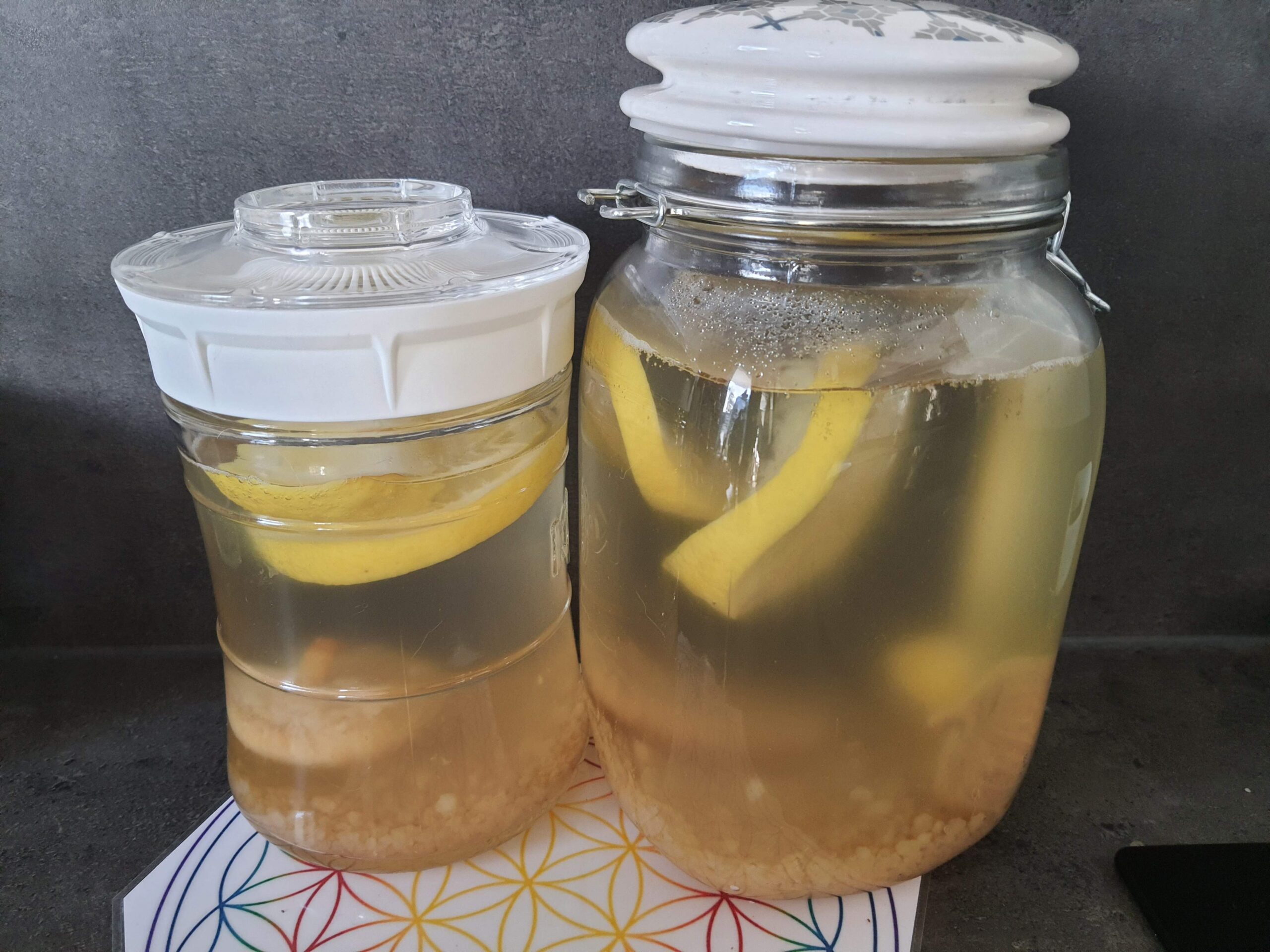 Blog de coach - kéfir de fruit